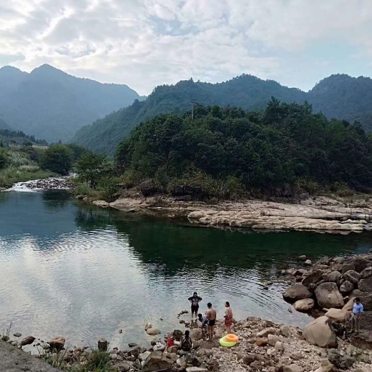 淳安县千岛湖典型峡谷高海拔悬崖峭壁生态旅游，集体资源合作，50入股