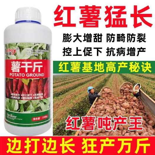 红薯膨大素红薯专用肥地瓜增产增收杀菌褐斑病白锈病茎腐病全治