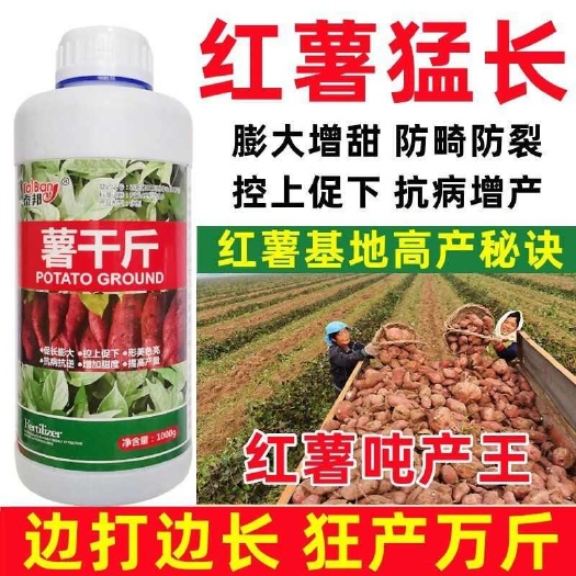 扶沟县红薯膨大素红薯专用肥地瓜增产增收杀菌褐斑病白锈病茎腐病全治