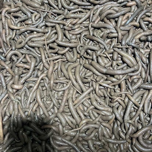 本地不泡水泥丁