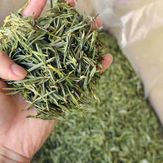 歙县谷雨前茶/土种黄山毛峰