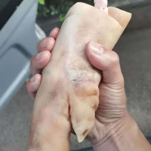 昆明精品猪脚