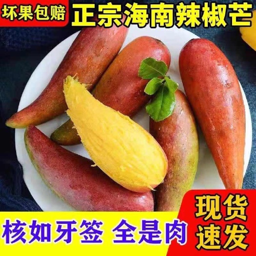 海南三亚辣椒芒新鲜手指芒牙签芒