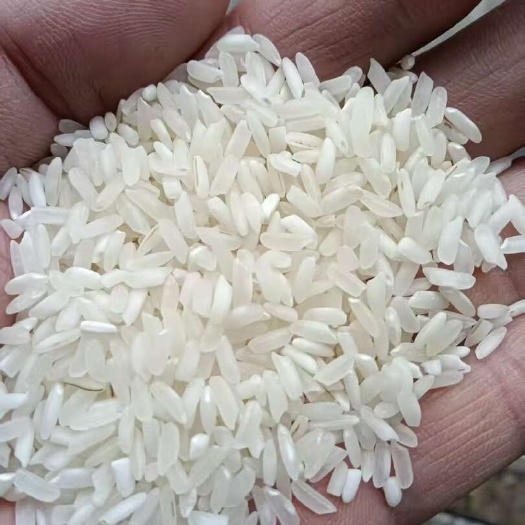 深圳缅甸杜卡白米缅甸杜卡碎米