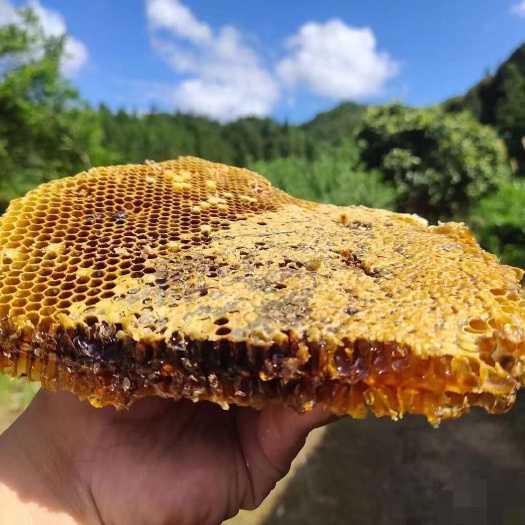 寻乌县农家土蜂蜜，诚信经营，品质保证。