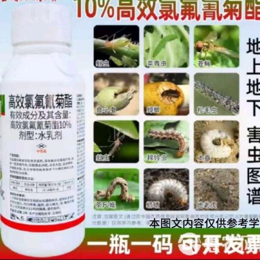 和平县高效氯氟氰菊酯，蚜虫，棉铃虫，食心虫钻心虫，正品包邮
