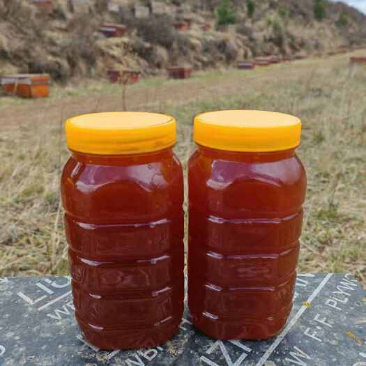 卓尼县高原野生纯中药材蜂蜜