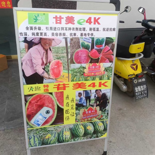 大荔县陕西大棚甘美4k西瓜批发，甘美4k西瓜产地，甘美西瓜产地
