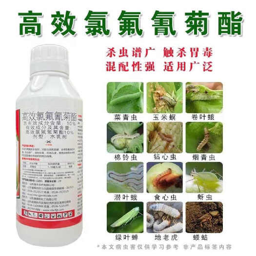 郑州10%高效氯氟氰菊酯 立攻正品杀虫剂蓟马菜青虫玉米螟农药