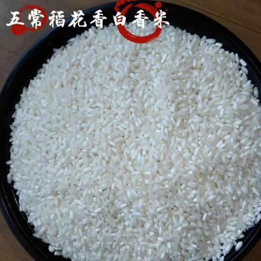 五常稻花香—瓷白米批发