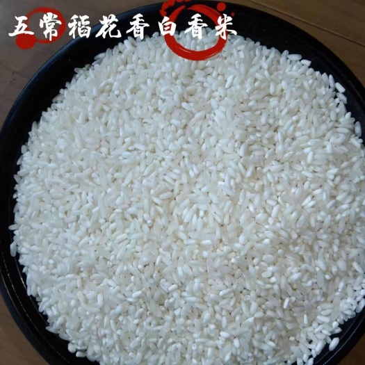 五常市五常稻花香—瓷白米批发