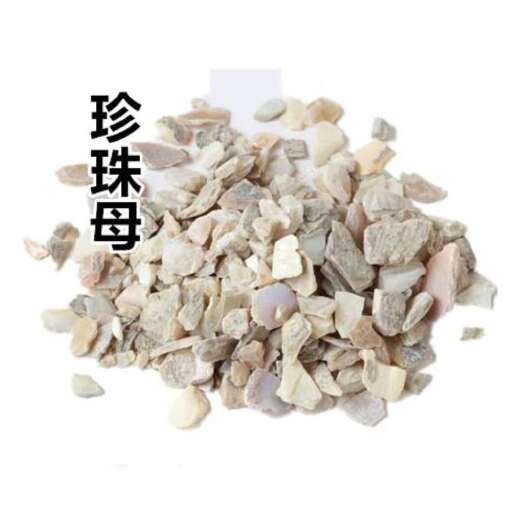珍珠母 批发各种规格中药材 质量保证 量大从优