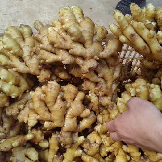 岳西县食品级生姜精华，天然去污
