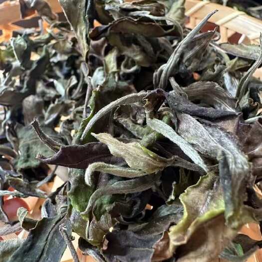 芒市云南高山云雾月光白