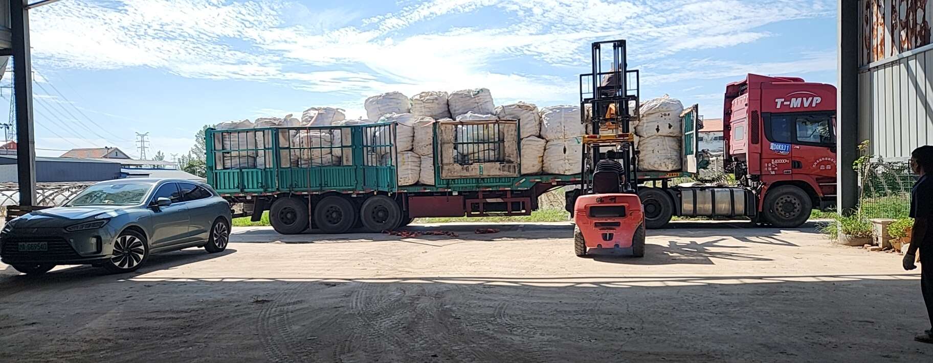 红甜菜 甜菜根 甜菜头 基地直发现货供应市场加工厂出口红甜菜