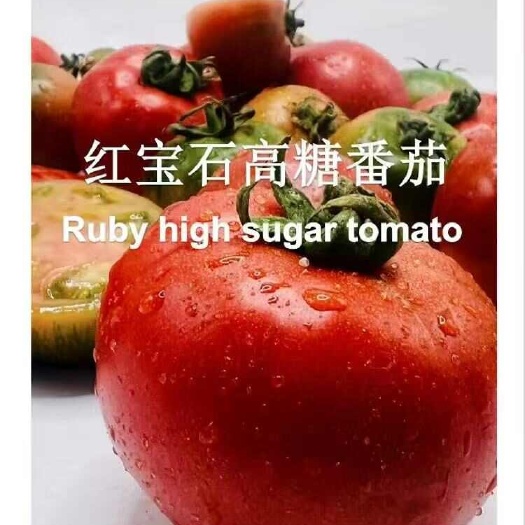 寿光市希番红宝石水果高糖西红柿