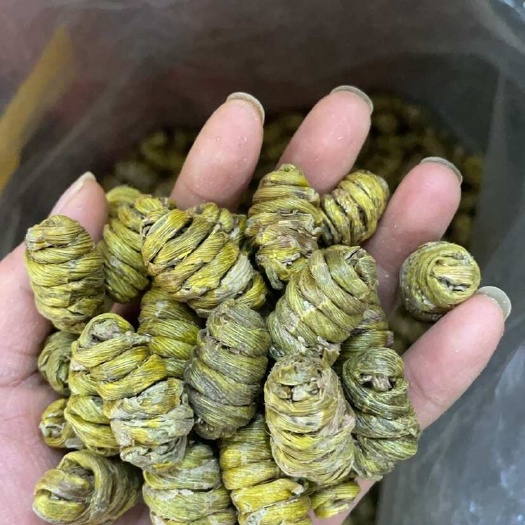 昆明铁皮石斛枫斗大货批发一手货源
