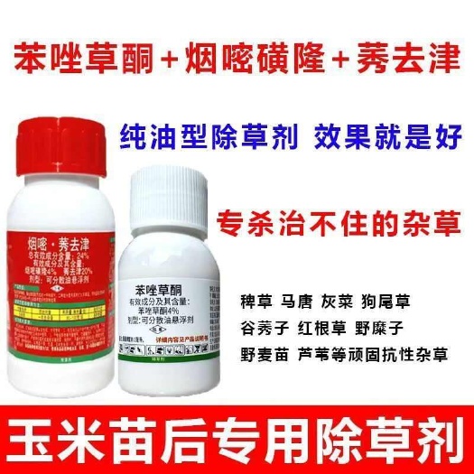 郑州玉米苗后除草剂苯唑草酮烟莠去津芦苇红根草马唐顽固杂草除草组合