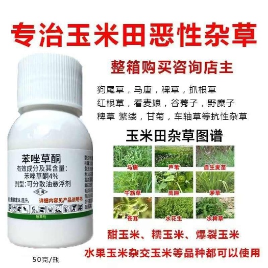 郑州苯唑草酮除草剂甜玉米糯玉米水果玉米除草剂杀红根草狗尾草抗性草