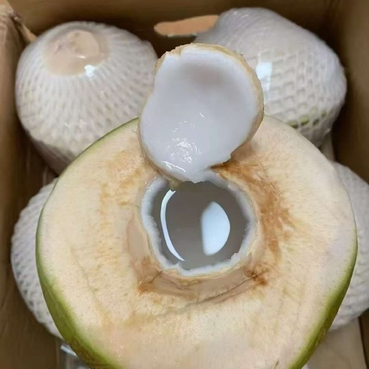 瓊海市海南削皮椰青廠家直銷