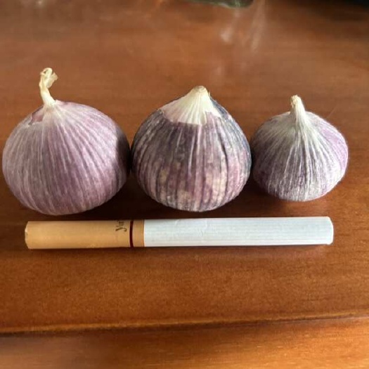 弥渡县云南高原独头蒜