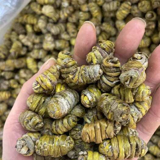昆明铁皮石斛枫斗大货批发一手货源1.2到1.4