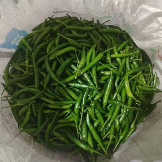 威宁县小米辣椒