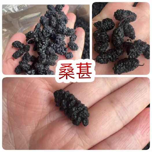 佛山桑葚 地摊电商批发野生无沙黑桑葚干黑桑椹桑果干桑葚子干