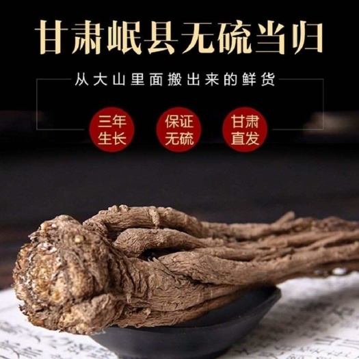 岷县岷县当归 正品无硫熏 整根全当归 甘肃岷县产地批发干货当归