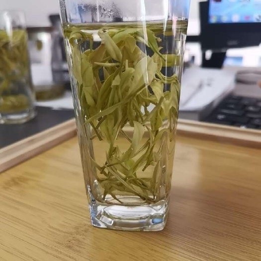 安龙县新白茶
