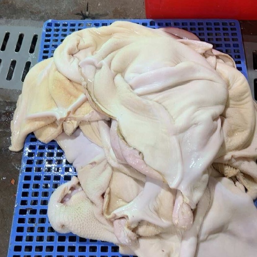 诏安县新鲜没下冰箱的过水牛肚，