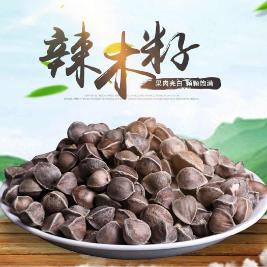 辣木籽云南特产大果辣木籽
