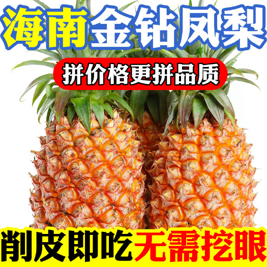 文昌市5斤【巨甜】现摘海南金钻凤梨新鲜应季水果手撕无眼大 凤梨批发
