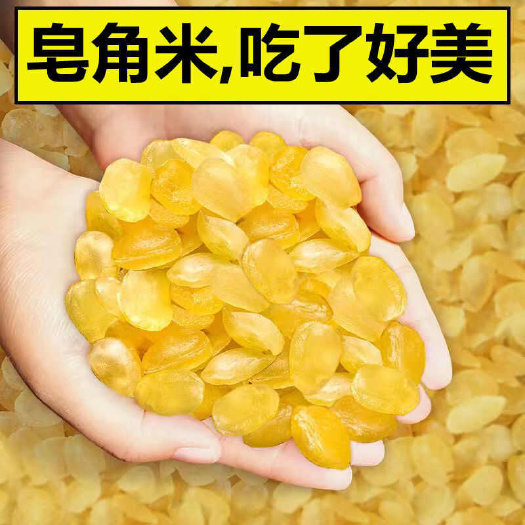 无糖皂角米贵州雪莲子皂角米控糖非云南皂角米