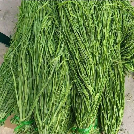 亳州贡菜2025年新货贡菜干 支持一件代发 多规格定制代发￼