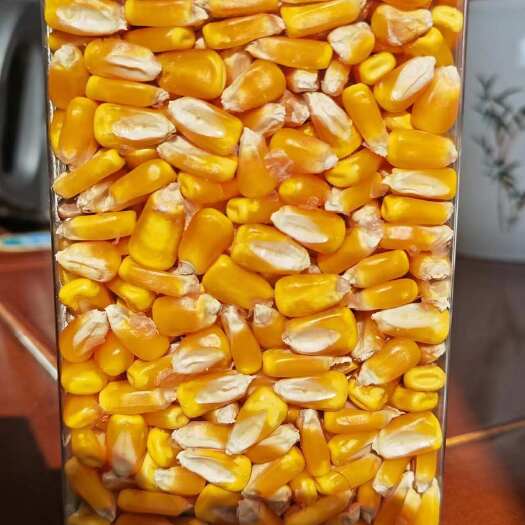 干玉米粒
