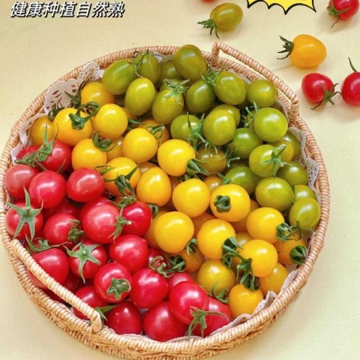 顺丰山东潍坊三色小番茄新鲜现摘纯甜爆汁圣女果青口蜜自然熟健康