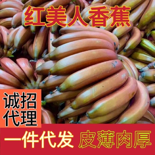 福建土楼红美人红香蕉对接各大电商，现摘现发，一件代发社区团购