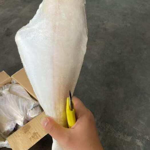 福州三去马面鱼500/700