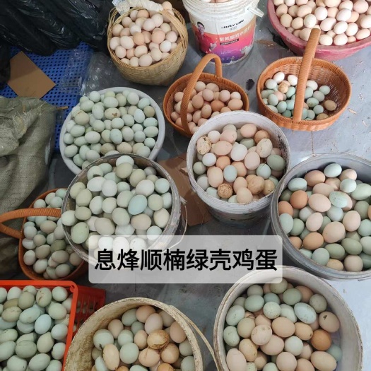 息烽绿壳鸡蛋、天然绿壳、营养丰富、口感鲜美、绿色养殖。