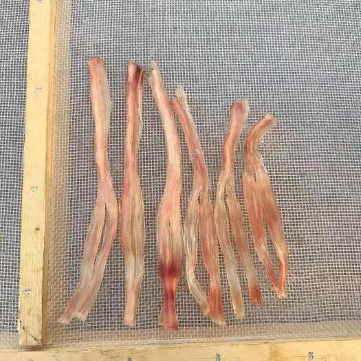 临沂优质牛蹄筋 山东临沂直发  精选食材 健康营养