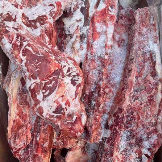 中牟县内蒙多肉羊蝎子