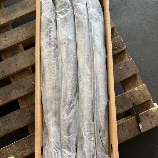 福州网A带鱼