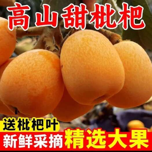 仁寿县枇杷一件代发
