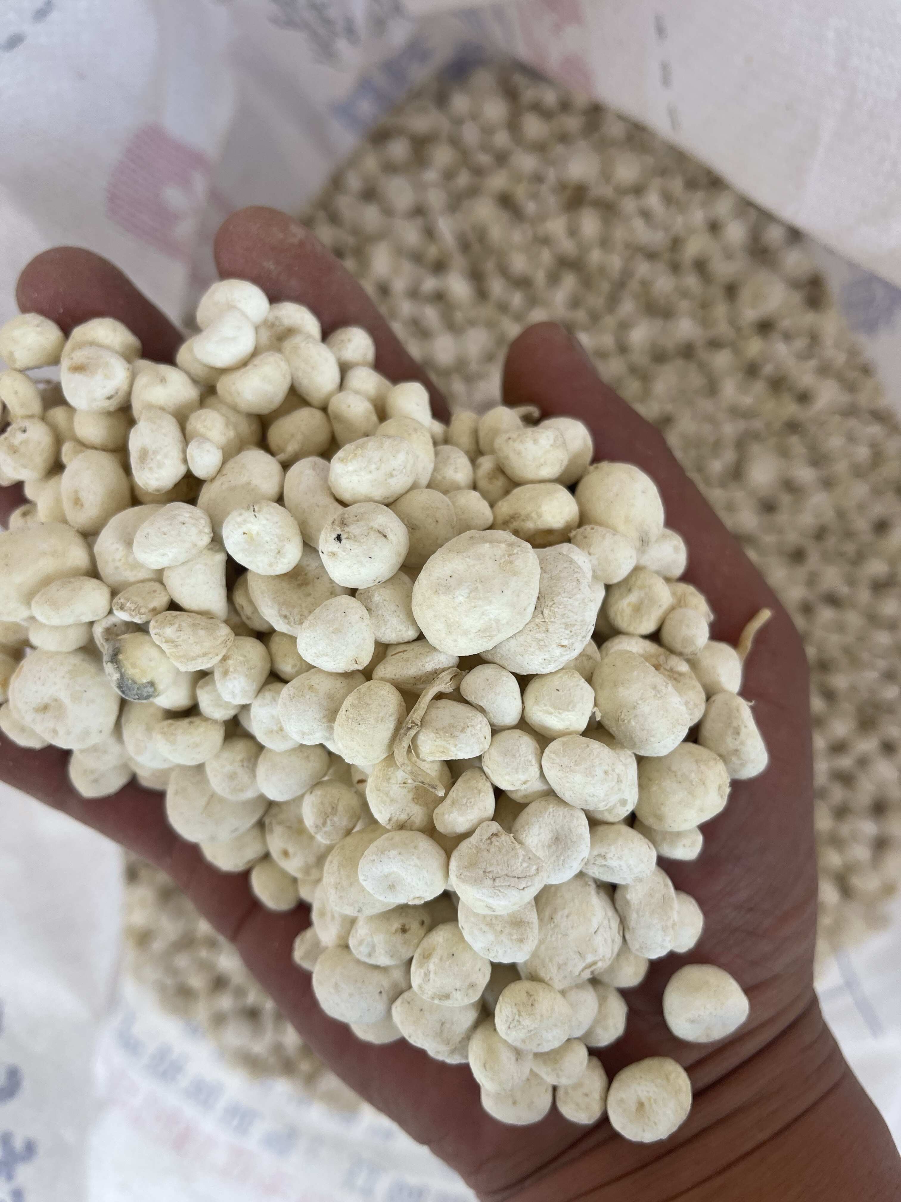 旱半夏散装15%以下含水量河北安国发货可开票支持专线物流