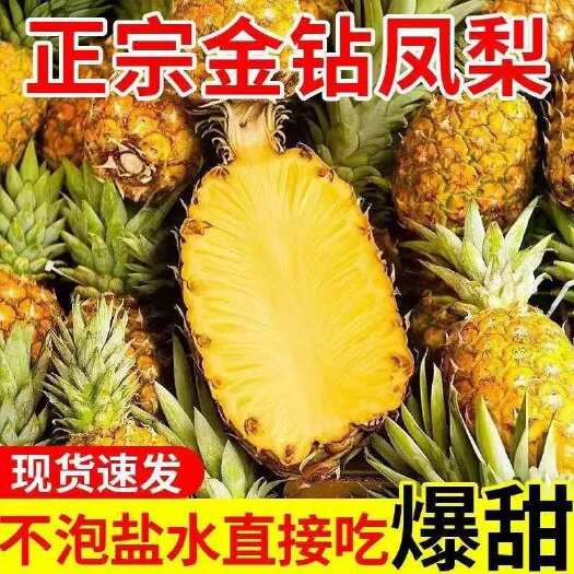 正 海南金钻凤梨大果菠萝应季水果自然熟老树手撕凤梨10斤整箱