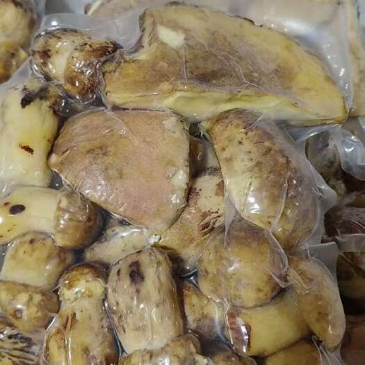 广州云南大理野生A白葱牛肝菌一手货源