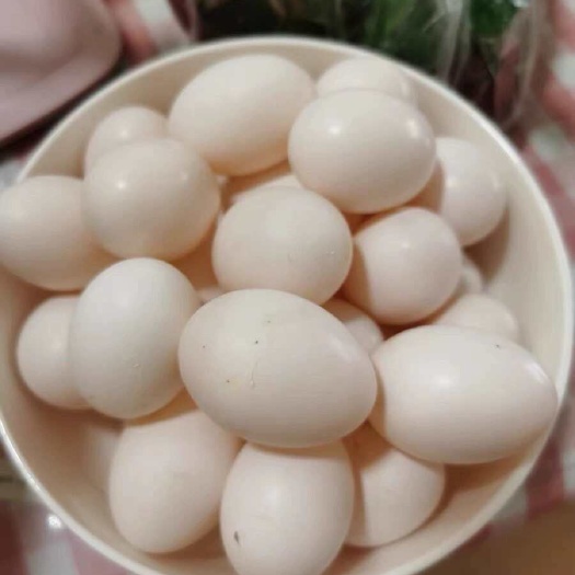 郓城县鸽子蛋