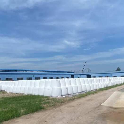 松滋市蛋白桑青贮饲料，蛋白含量20，改善肠道，提升肉质