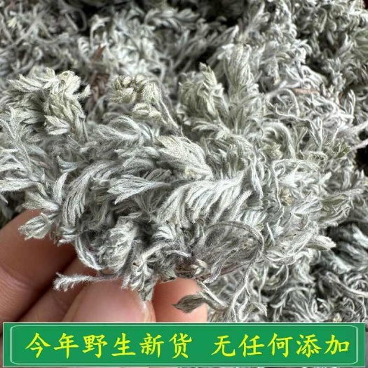 南召县中药材茵陈绵茵陈茵陈蒿草中草药茵陈茶新货精选天然茵陈